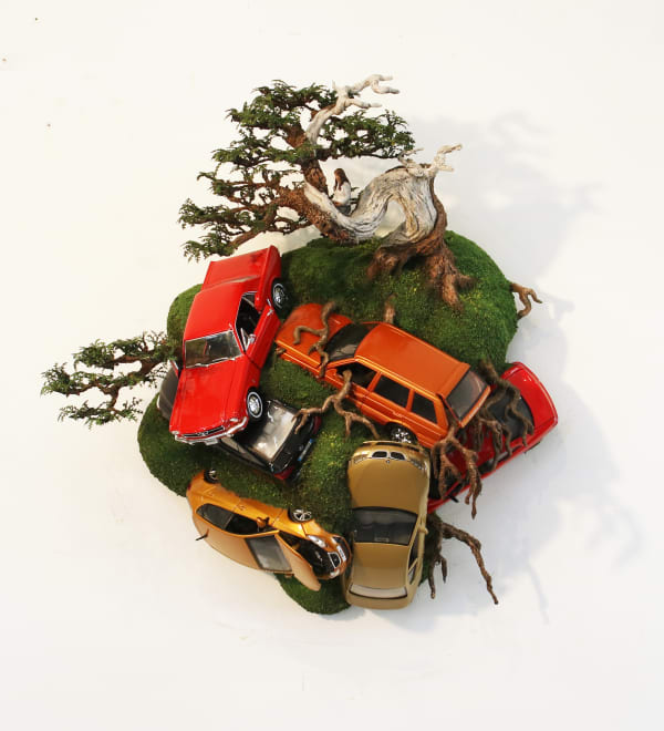 Patrick Bergsma, Power of Nature 5