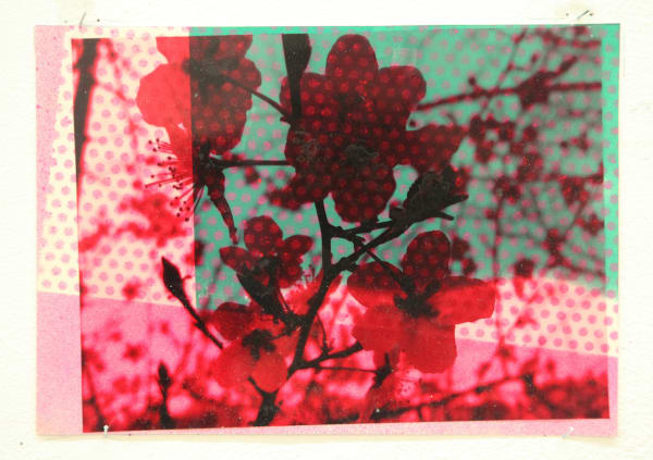 Paul Schwer, Blossoms 14, 2022