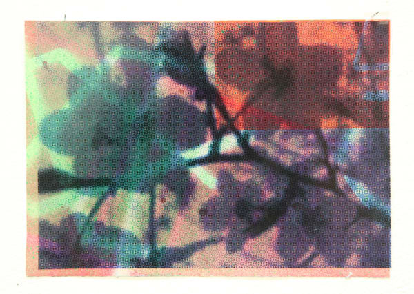 Paul Schwer, Blossoms 12, 2022