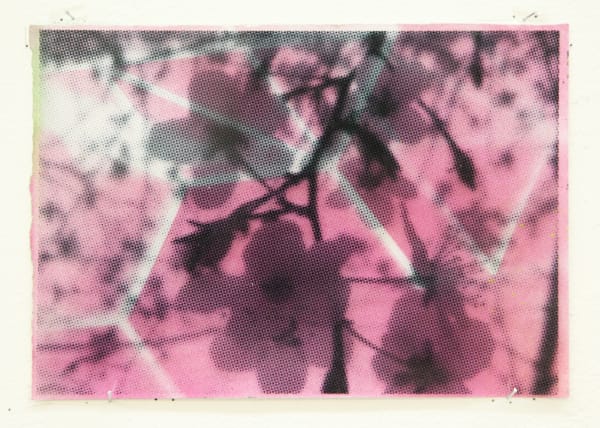 Paul Schwer, Blossoms 17, 2022
