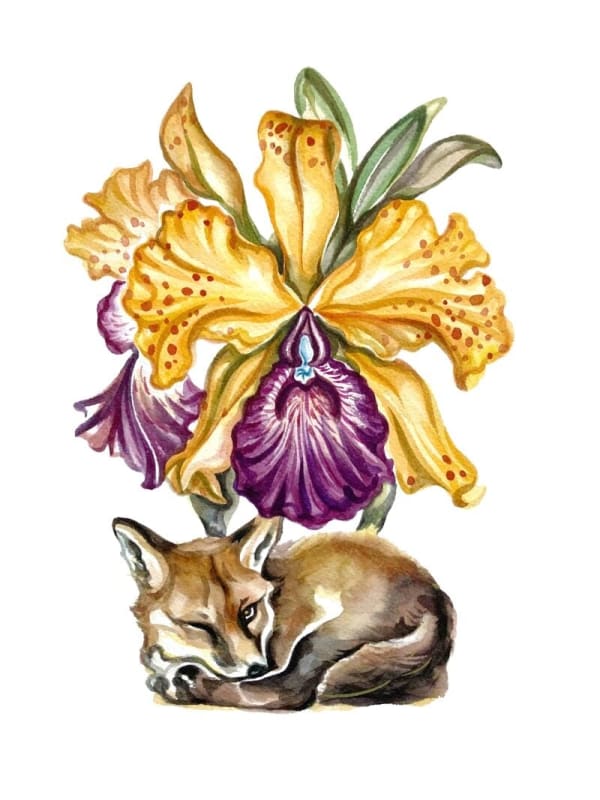 Stella Sujin, Foxling Rest, 2024