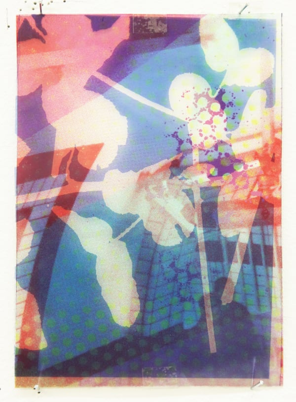 Paul Schwer, Blossoms 8, 2022