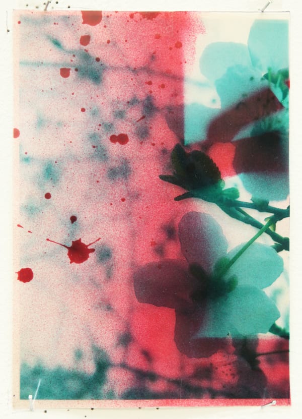 Paul Schwer, Blossoms 5, 2022