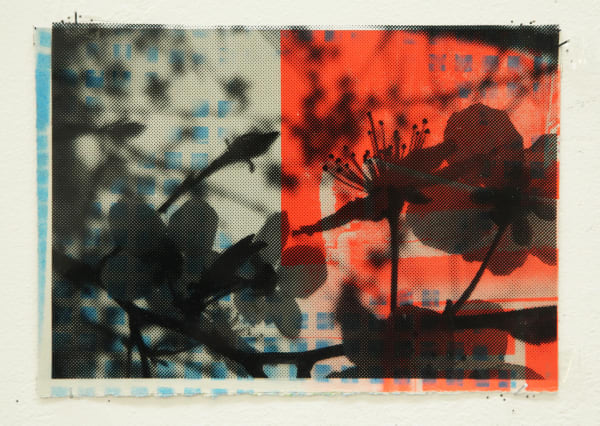 Paul Schwer, Blossoms 20, 2022