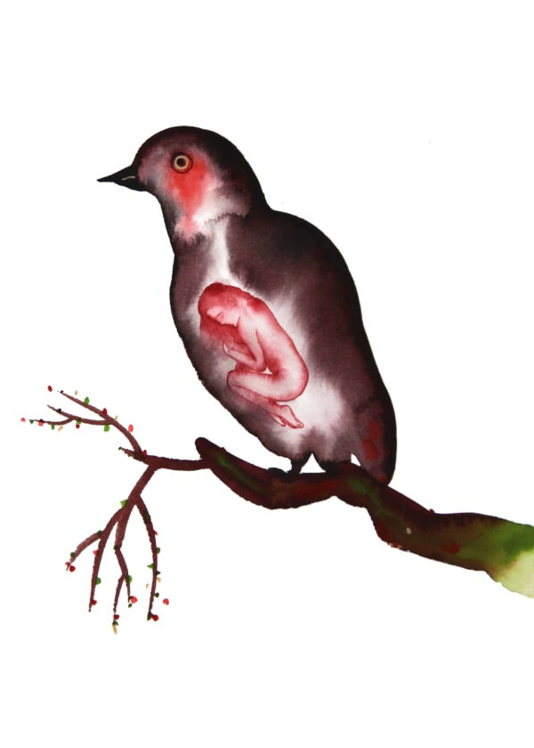 Stella Sujin, Dream of becoming a bird, 2021