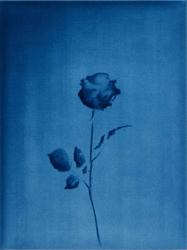 Bertram Hasenauer, Untitled, 2020