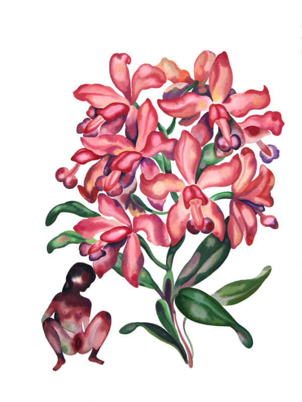 Stella Sujin, Untitled plant , 2021