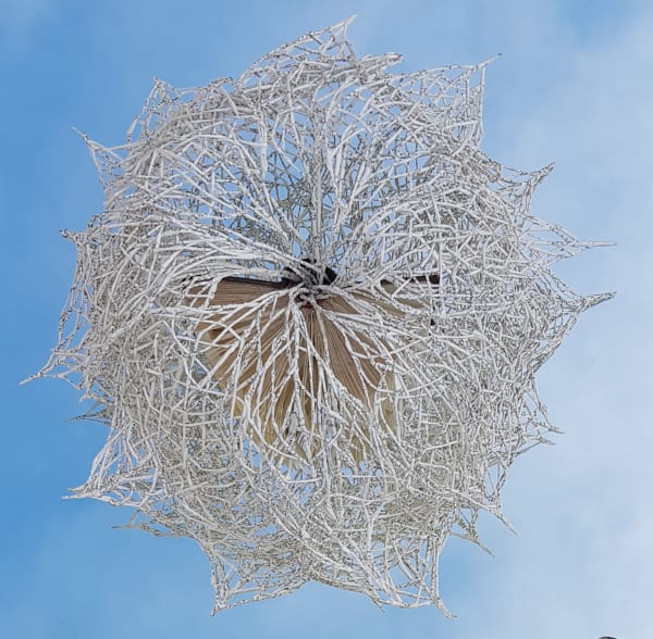 Jukhee Kwon, Leaf book, 2022