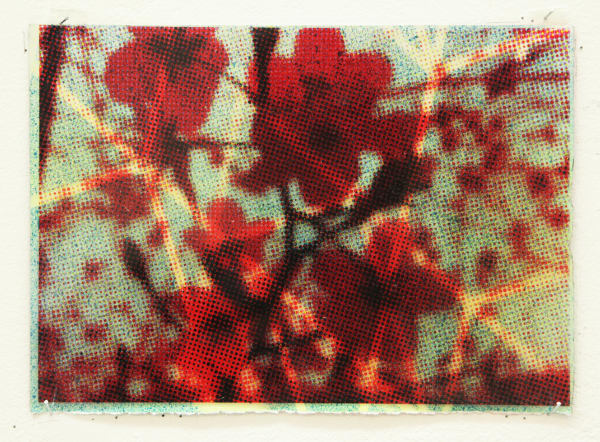 Paul Schwer, Blossoms 16, 2022