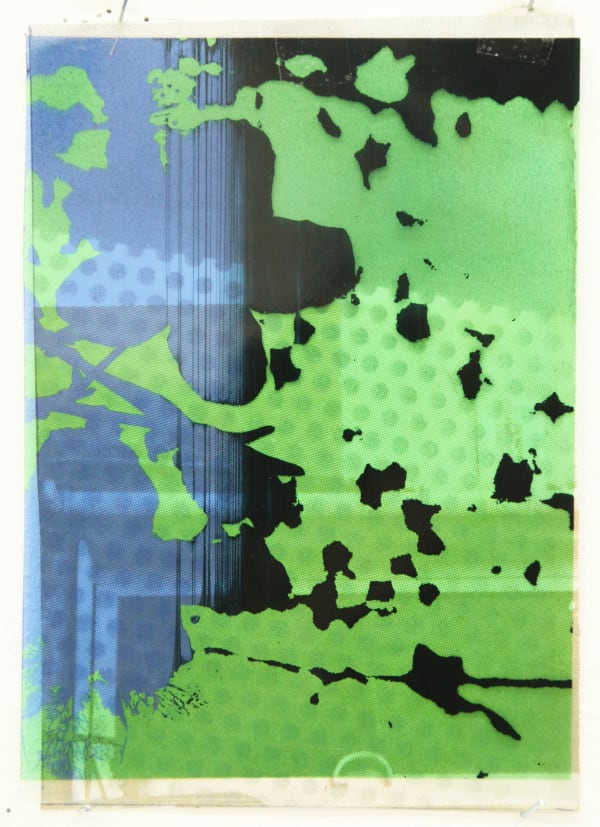 Paul Schwer, Blossoms 6, 2022