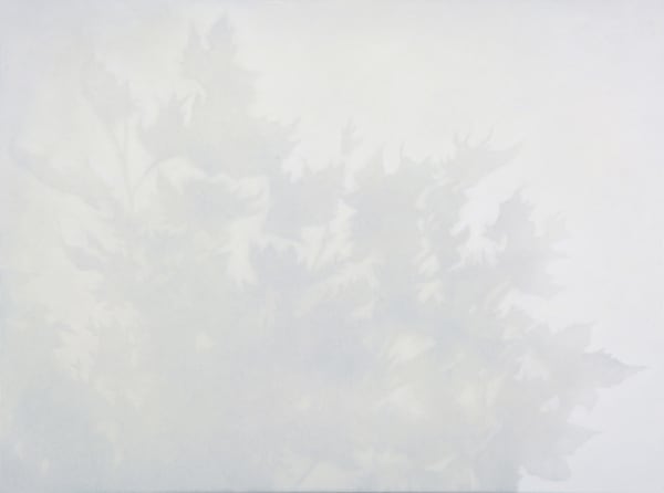 Bertram Hasenauer, Untitled, 2017