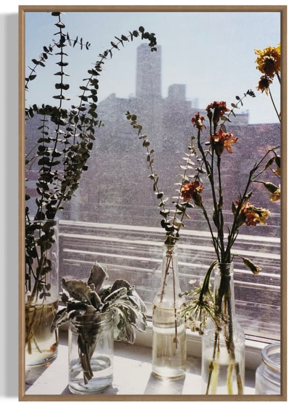 Kelly de Geer, Flowers in Bushwick. Brooklyn, New York (2018), 2025