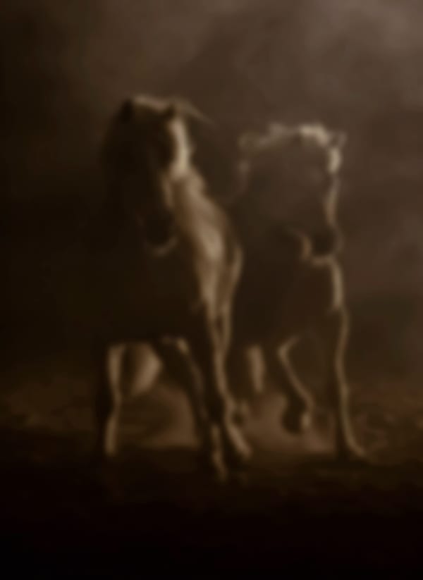 Breath and Thunder, BRKTRG07, 2021