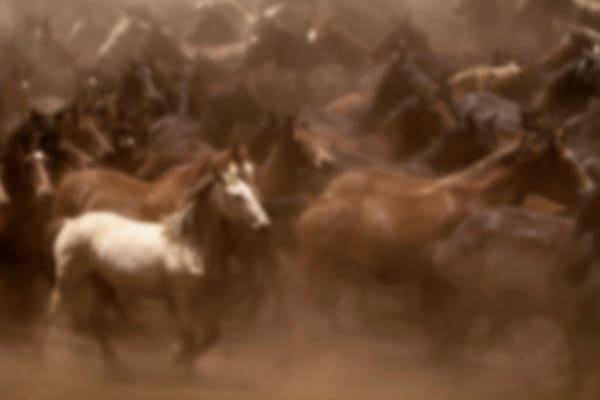 Breath and Thunder, BRKTRG02, 2021