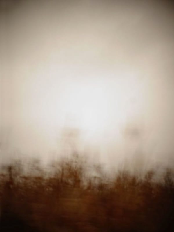 Silence, SLNCE02 - Echoes of the Vanishing Light, 2017