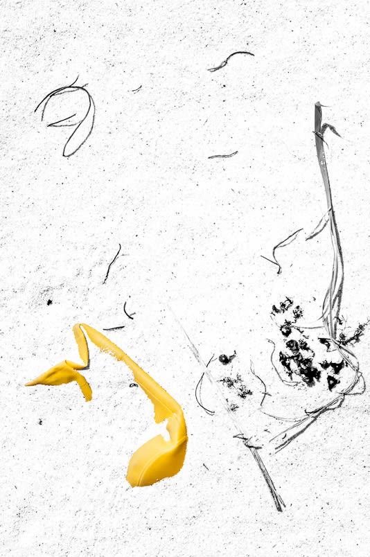 Christine finkelson, Untitled 14, 2012