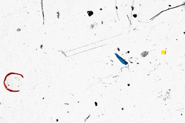 Christine finkelson, Untitled 1, 2012