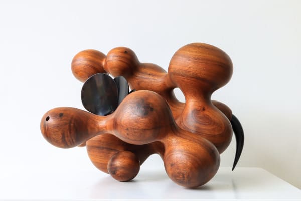 Donald Wasswa, Ndyanabanji, 2020