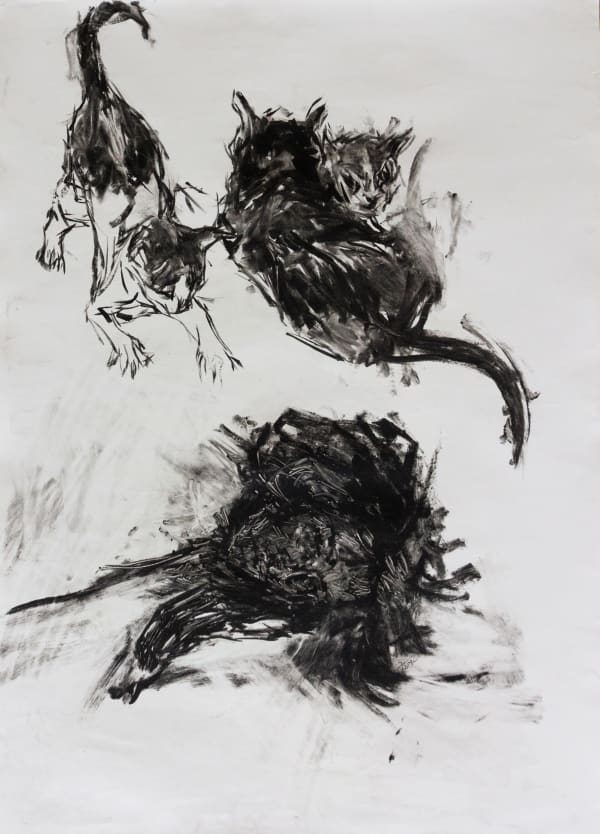 Tiemar Tegene, Paper III, 2024