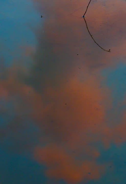 Winifrid Luena, Metamorphosis II, 2020