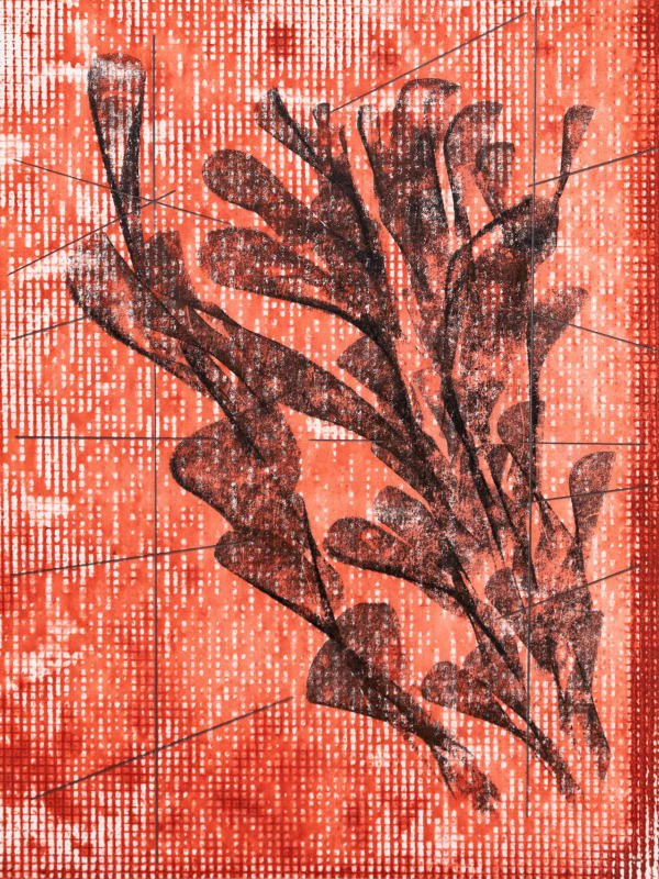 Tahir Carl Karmali, Hang me between your windows X from series 2, 2025