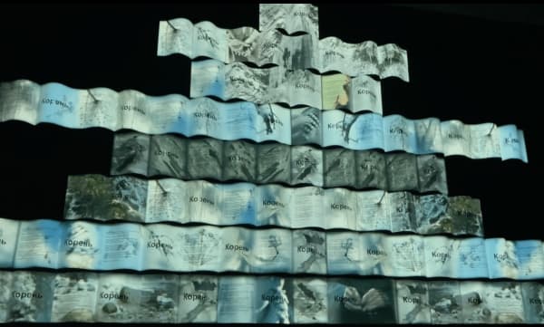 Anne-Sophie Emard, Souche 2.0, 2021