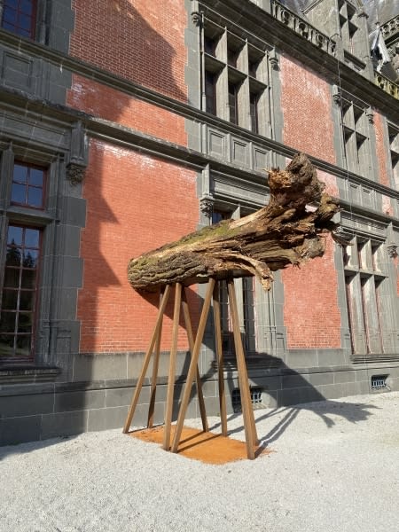 Roland Cognet, Après la tempête, 2024