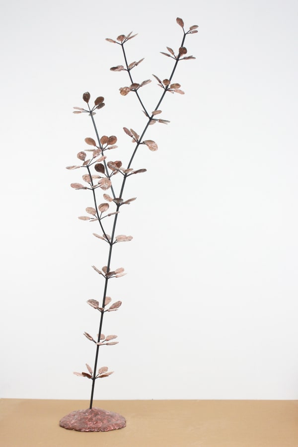 Victor Levai, La cuivrée, 2020