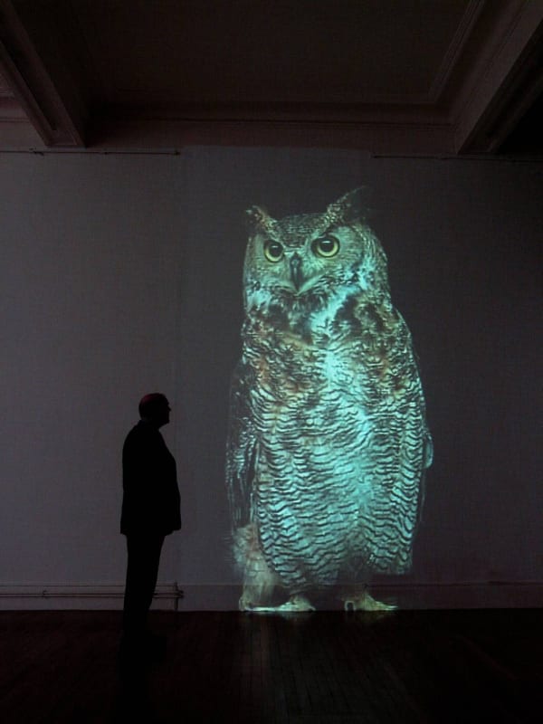 Bertrand Gadenne, Hibou, 2005