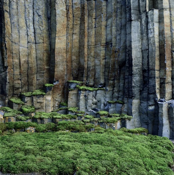 NILS-UDO, Untitled, 2000