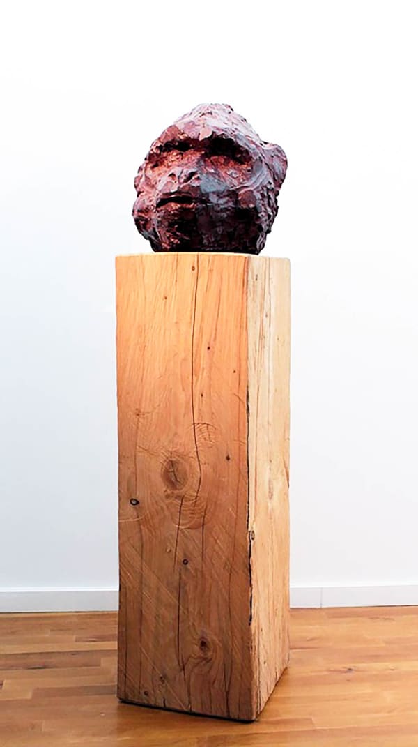 Roland Cognet, Tête de singe, 2009