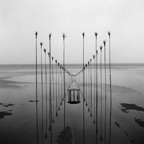 NILS-UDO, Maison d'eau, 1982