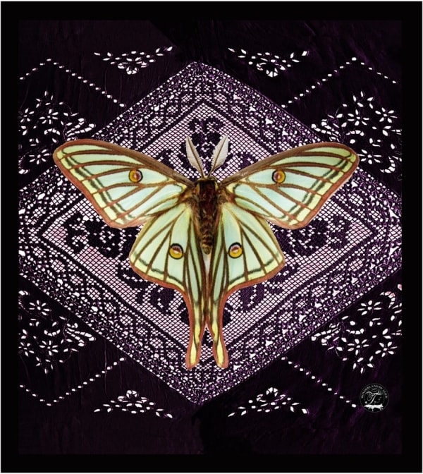 Alice Temperley, Large Moth, 2023