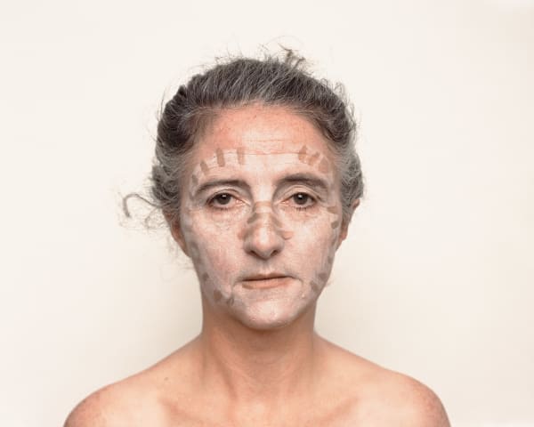 Trish Morrissey, Owl, 2017