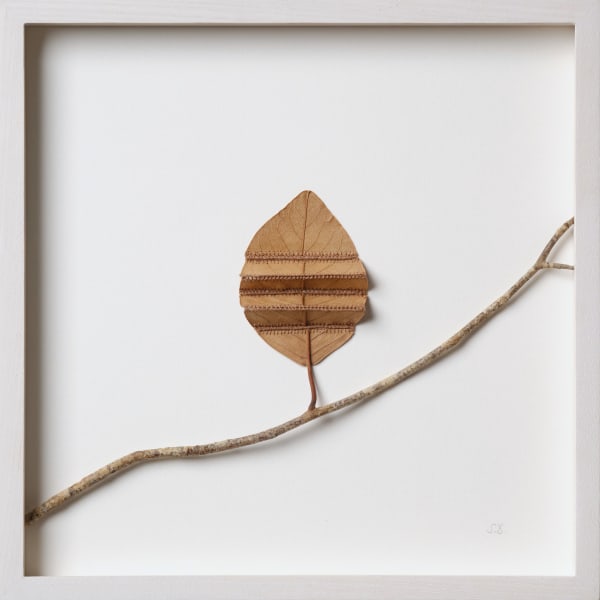 Susanna Bauer, Unfolding, 2025