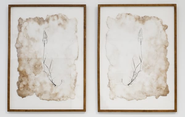 Chris Drury, Common Bent, 2015
