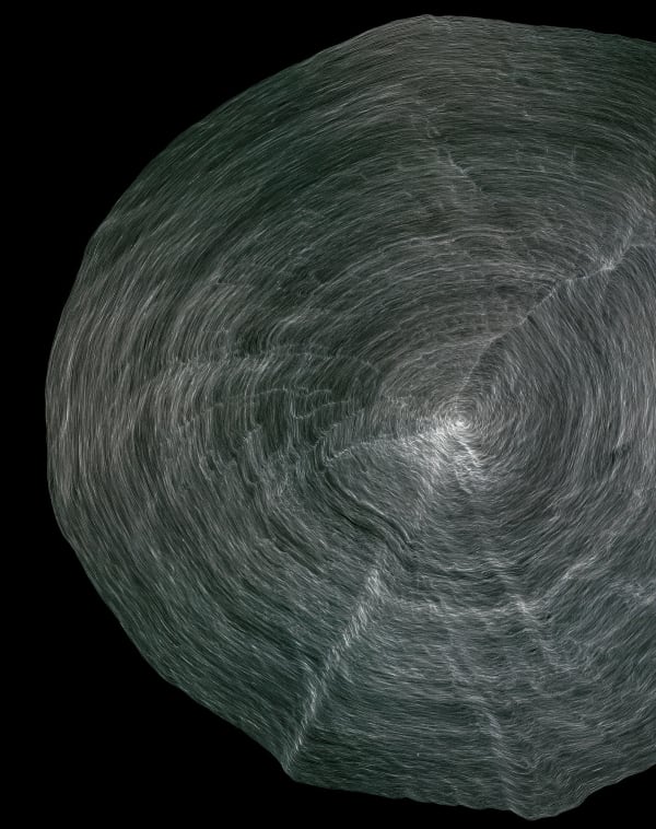 Anna Mossman, Lap (2), 2005