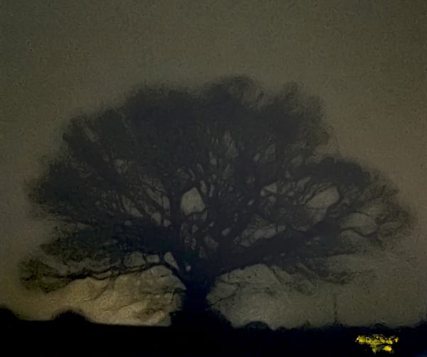 Magnus Hammick, 05:33