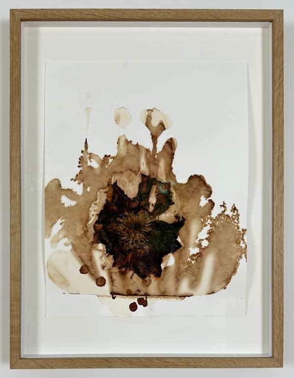 Tania Kovats, The Last of My Summer Blooms 2022, no1, 2022