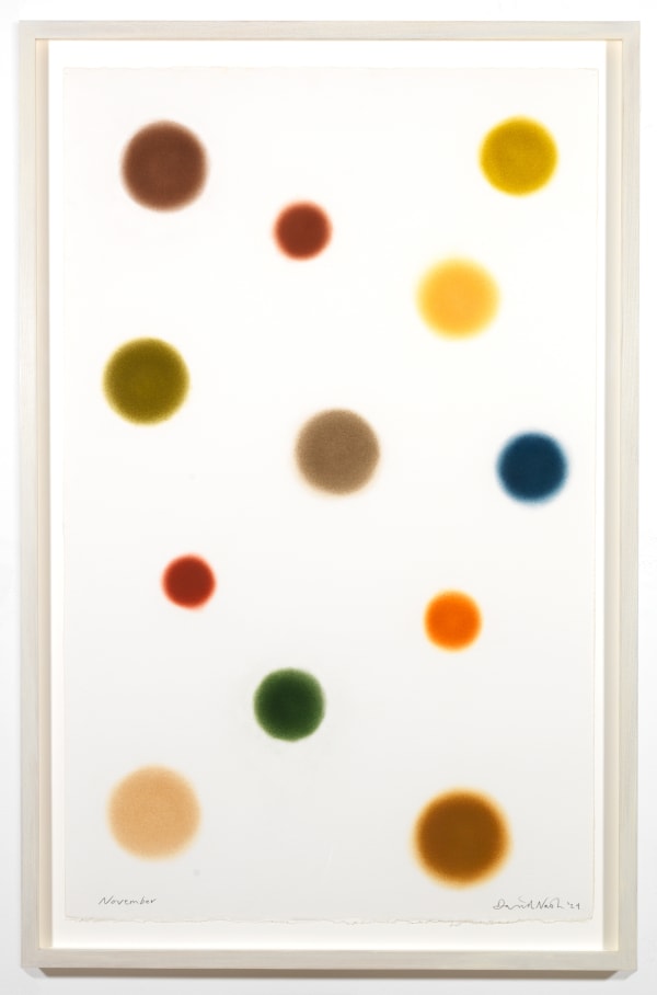 David Nash, November, 2024