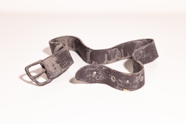 Ted Rogers, Snake Hips, 2025