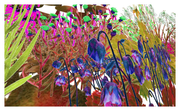 Alexandra Daisy Ginsberg, Pollinator Pathmaker: iFADDiPqc5HU3KiFxjBEuG (Pollinator Vision, Early Summer), 2023