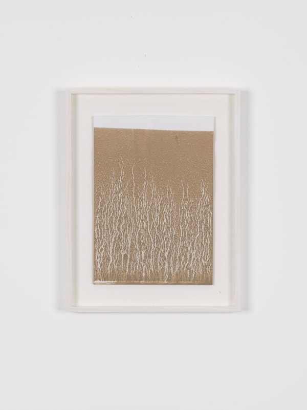 Richard Long, Untitled 1, 2017