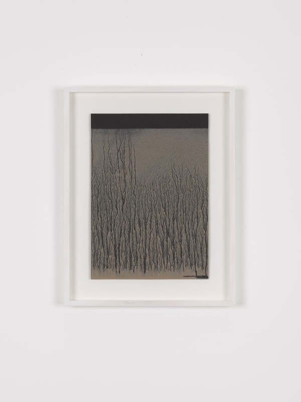 Richard Long, Untitled 8, 2017