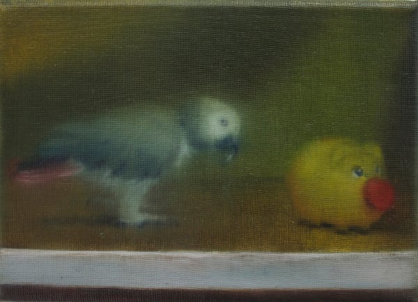 Angela Lizon, Album 54