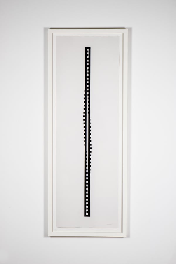 Toni Davey, GYRE, 2012-21