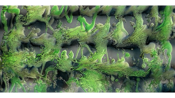 Márta Kucsora, Untitled 36, 2021