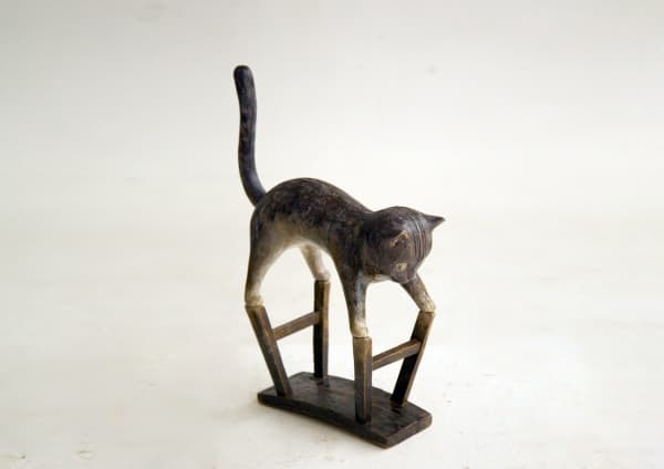 张弱, The Animal–Cat, 2013