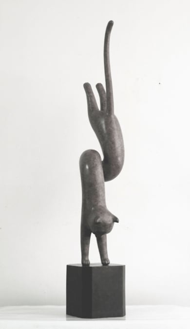 张弱, Lucy Cat, 2017