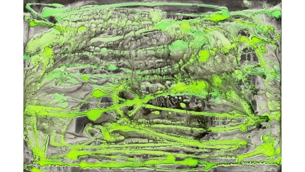 Márta Kucsora, Untitled 21, 2020